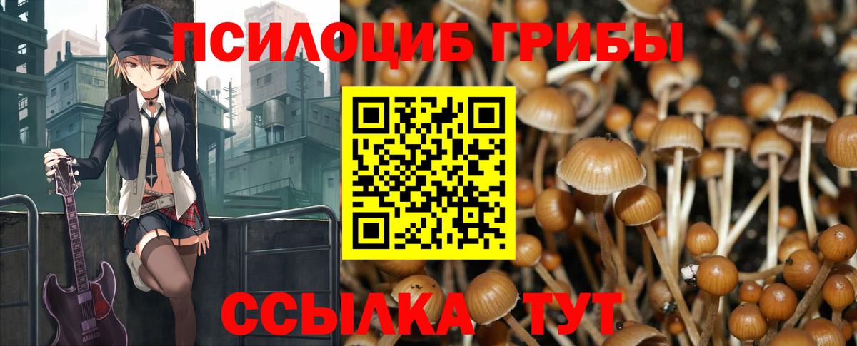Псилоцибиновые грибы Psilocybine cubensis Норильск